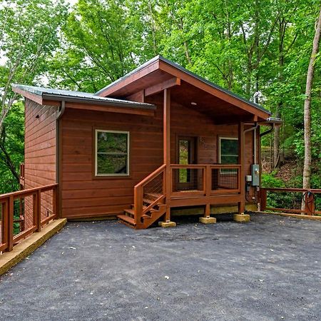 New Cozy Mountain Cabin Hot Tub Near Downtown Gatlinburg Buitenkant foto